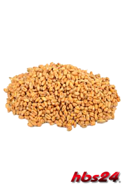 oak Smoked wheat malt 4-6 EBC - hbs24